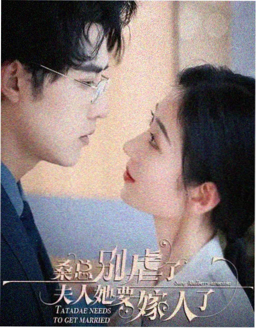 我的团长我的团 海报